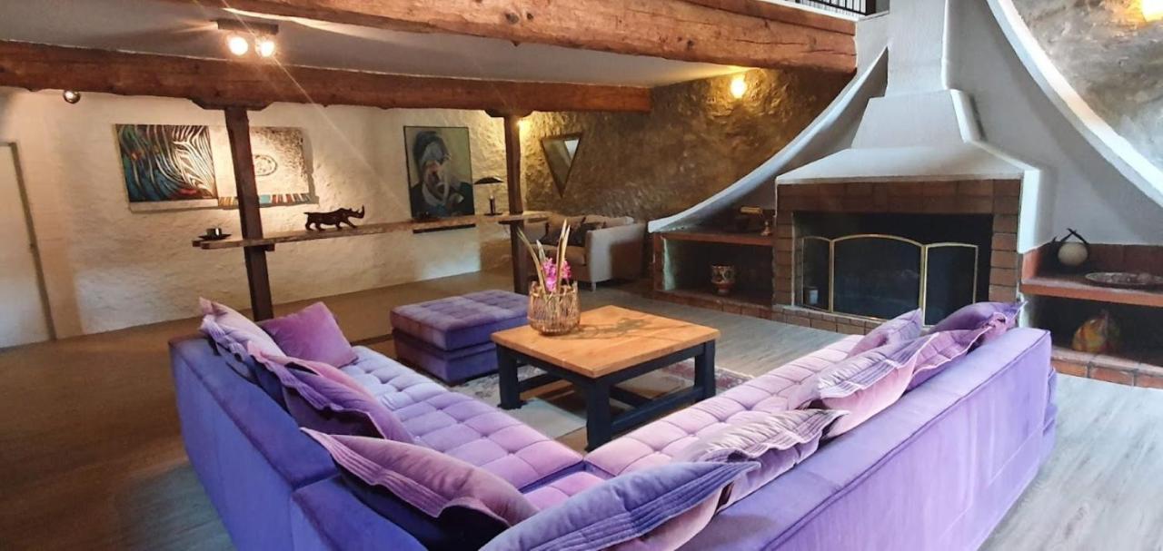 Gite De 420 Metres Carres Dans Chateau L'Ange Au Violon Jusqu'A 13 Couchages Conques-sur-Orbiel Exterior photo
